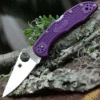Cheap ⭐ Spyderco Knives Spyderco C11FPPR Delica 4, 2.875" VG-10 Flat Ground Blade, Purple FRN Handle 🤩