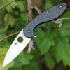Buy 😀 Spyderco Knives Spyderco Paul Alexander Sliverax Carbon Fiber/G-10 C228CFP, 3.48" CPM S30V Plain Blade 💯