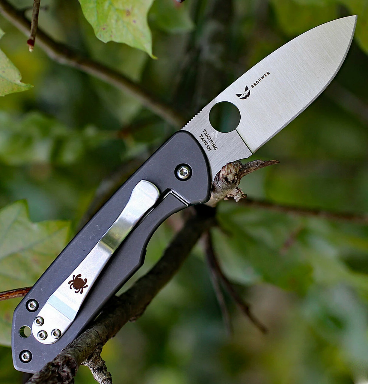 Coupon 🎁 Spyderco Knives Spyderco C232GTIP Jerry Brouwer, CPM S30V Plain Blade, Forest Green G-10 Handle 🛒 2 Coupon 🎁 Spyderco Knives Spyderco C232GTIP Jerry Brouwer, CPM S30V Plain Blade, Forest Green G-10 Handle 🛒 - Image 2