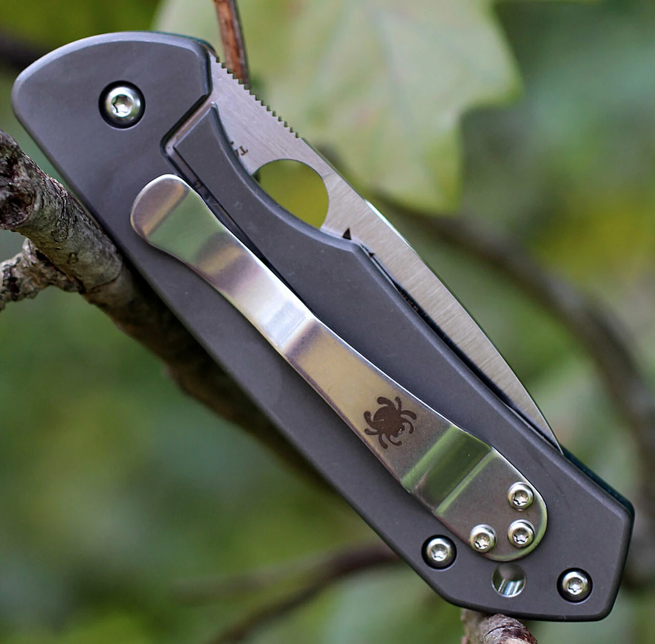 Coupon 🎁 Spyderco Knives Spyderco C232GTIP Jerry Brouwer, CPM S30V Plain Blade, Forest Green G-10 Handle 🛒 3 Coupon 🎁 Spyderco Knives Spyderco C232GTIP Jerry Brouwer, CPM S30V Plain Blade, Forest Green G-10 Handle 🛒 - Image 3