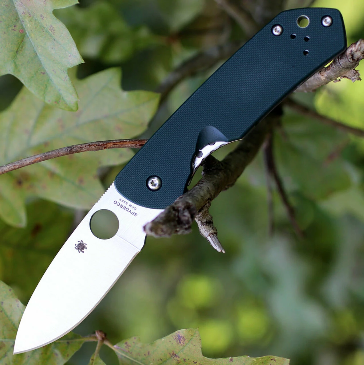 Coupon 🎁 Spyderco Knives Spyderco C232GTIP Jerry Brouwer, CPM S30V Plain Blade, Forest Green G-10 Handle 🛒 1 Coupon 🎁 Spyderco Knives Spyderco C232GTIP Jerry Brouwer, CPM S30V Plain Blade, Forest Green G-10 Handle 🛒