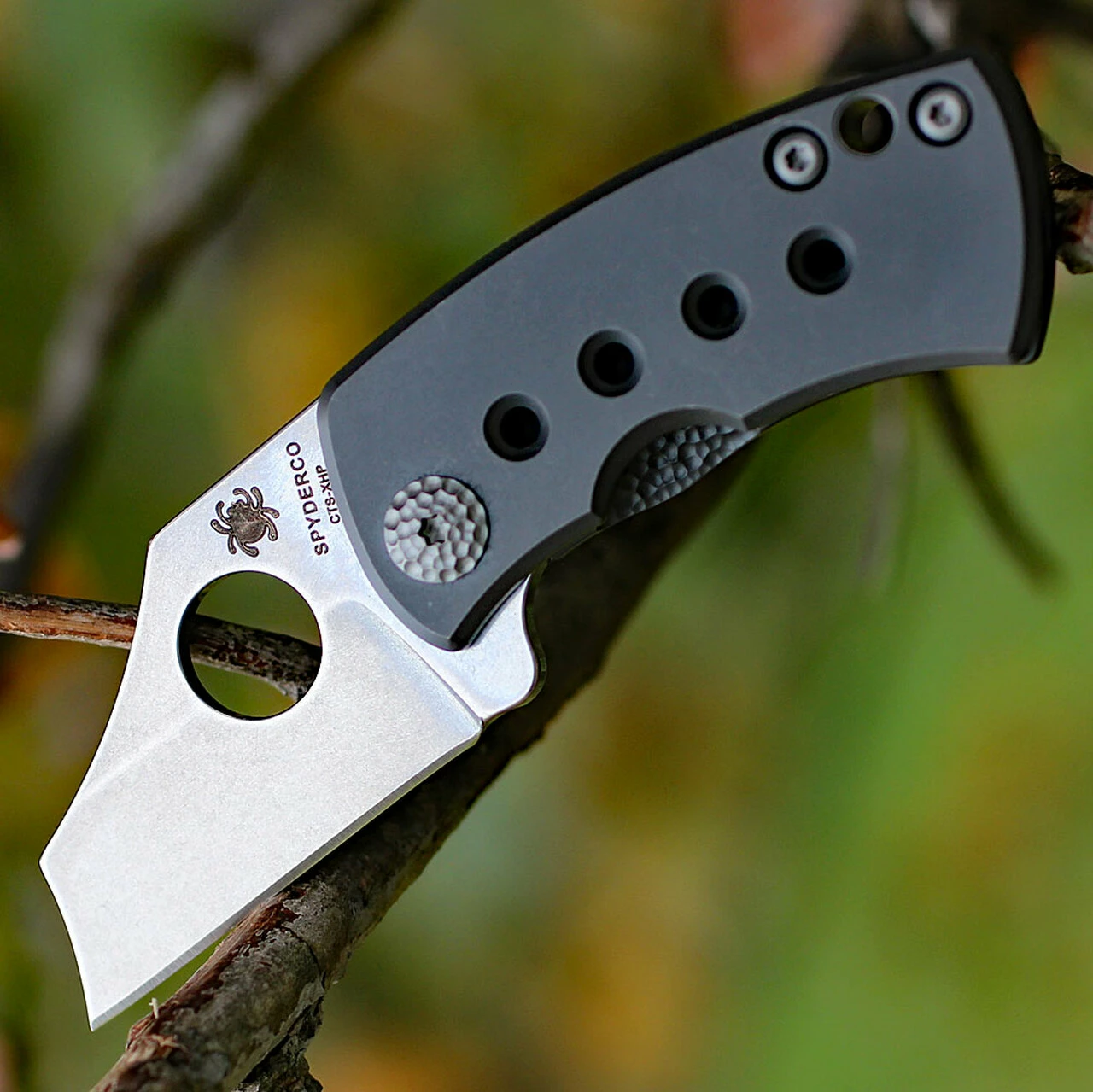 Discount 😍 Spyderco Knives Spyderco MCBEE C236TIP, 1.52" CTS-XHP Steel Plain Blade, Titanium Handle ✔️ 1 Discount 😍 Spyderco Knives Spyderco MCBEE C236TIP, 1.52" CTS-XHP Steel Plain Blade, Titanium Handle ✔️
