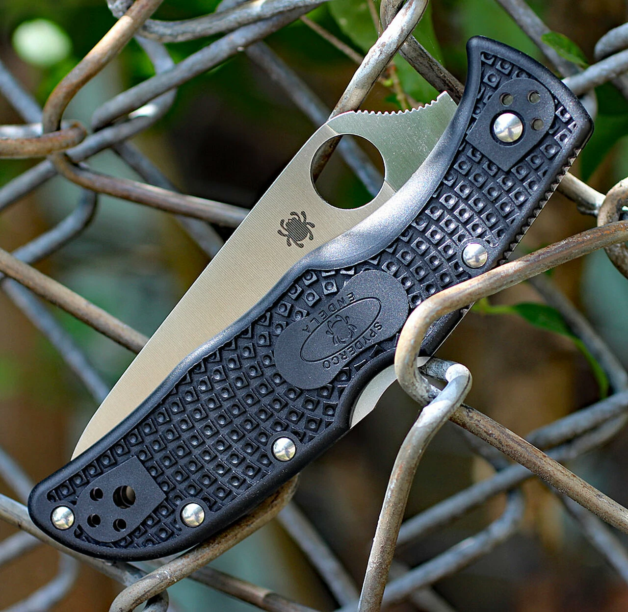 Best Pirce 🎉 Spyderco Knives Spyderco Endela Lightweight C243PBK, 3.41" VG-10 Plain Blade, Black FRN Handle 😀 3 Best Pirce 🎉 Spyderco Knives Spyderco Endela Lightweight C243PBK, 3.41" VG-10 Plain Blade, Black FRN Handle 😀 - Image 3