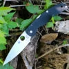 Best reviews of 🛒 Spyderco Knives Spyderco Native Chief C244GP, 4.08" Cpm S30V Plain Blade, Black G-10 Handle 🔥