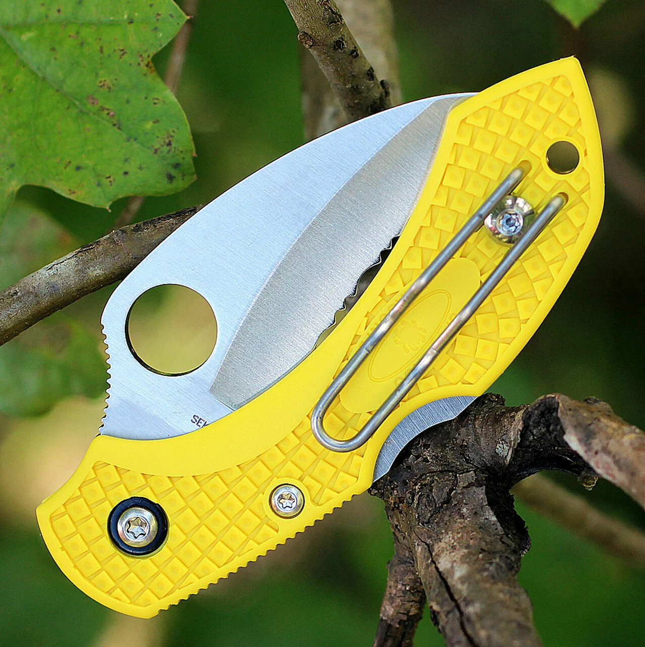 Cheapest 🎁 Spyderco Knives Spyderco Dragonfly2 Hawkbill Salt C28SYL2HB, 2.3 in. H-1 Serrated Blade, Yellow FRN Handle ⌛ 3 Cheapest 🎁 Spyderco Knives Spyderco Dragonfly2 Hawkbill Salt C28SYL2HB, 2.3 in. H-1 Serrated Blade, Yellow FRN Handle ⌛ - Image 3