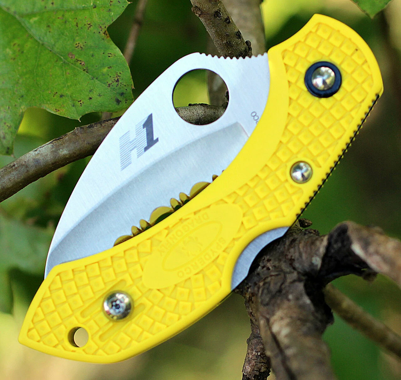 Cheapest 🎁 Spyderco Knives Spyderco Dragonfly2 Hawkbill Salt C28SYL2HB, 2.3 in. H-1 Serrated Blade, Yellow FRN Handle ⌛ 4 Cheapest 🎁 Spyderco Knives Spyderco Dragonfly2 Hawkbill Salt C28SYL2HB, 2.3 in. H-1 Serrated Blade, Yellow FRN Handle ⌛ - Image 4