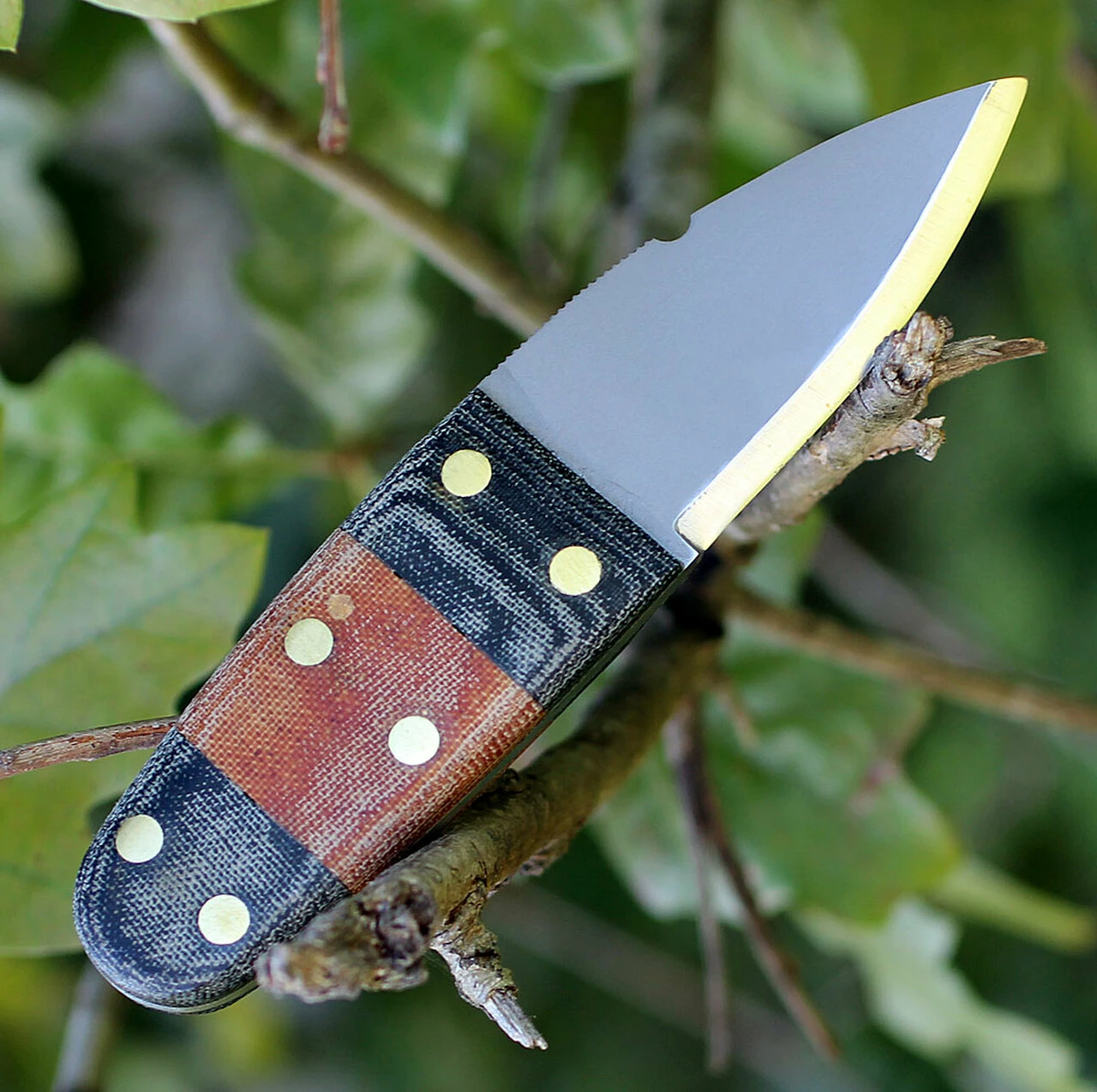 Discount 🎉 Condor Primitive Bush Dagger CTK3923-2.6HC, 2.63 in. 1075 High Carbon Steel, Micarta Handle 😀 2 Discount 🎉 Condor Primitive Bush Dagger CTK3923-2.6HC, 2.63 in. 1075 High Carbon Steel, Micarta Handle 😀 - Image 2