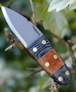 Discount 🎉 Condor Primitive Bush Dagger CTK3923-2.6HC, 2.63 in. 1075 High Carbon Steel, Micarta Handle 😀