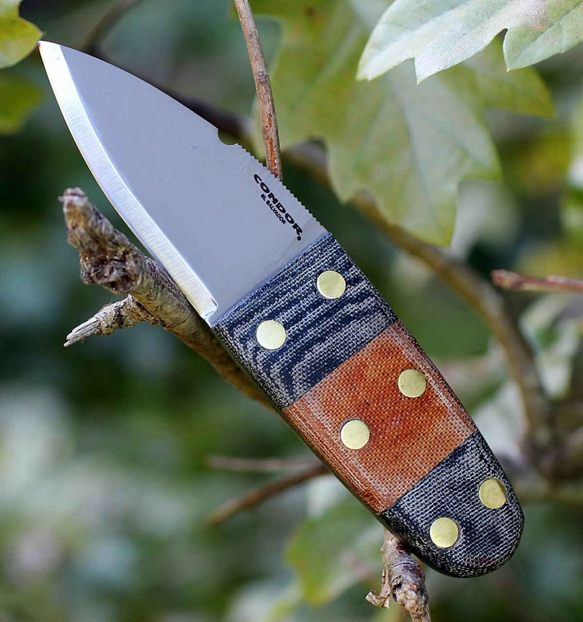 Discount 🎉 Condor Primitive Bush Dagger CTK3923-2.6HC, 2.63 in. 1075 High Carbon Steel, Micarta Handle 😀 1 Discount 🎉 Condor Primitive Bush Dagger CTK3923-2.6HC, 2.63 in. 1075 High Carbon Steel, Micarta Handle 😀