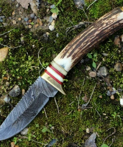 Discount ⌛ Damascus Blade Knife Damascus 1046 Whitetail Skinner, 3.75" Damascus Plain Blade, Round Stag Handle ⭐