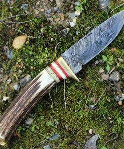 Discount ⌛ Damascus Blade Knife Damascus 1046 Whitetail Skinner, 3.75" Damascus Plain Blade, Round Stag Handle ⭐ -Automatic Knives shop dm1046.3 05510.1566586040