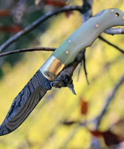Budget ✔️ Damascus Blade Knife Damascus 1110 Lockback, 3" Damascus Plain Blade, Camel Bone Handle 🛒