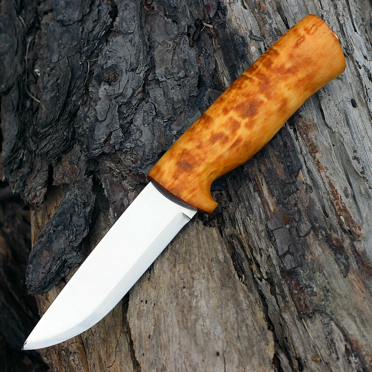 Buy 😀 Helle Eggen, Triple Laminated Stainless Steel, Curly Birch Handle 🎁 2 Buy 😀 Helle Eggen, Triple Laminated Stainless Steel, Curly Birch Handle 🎁 - Image 2