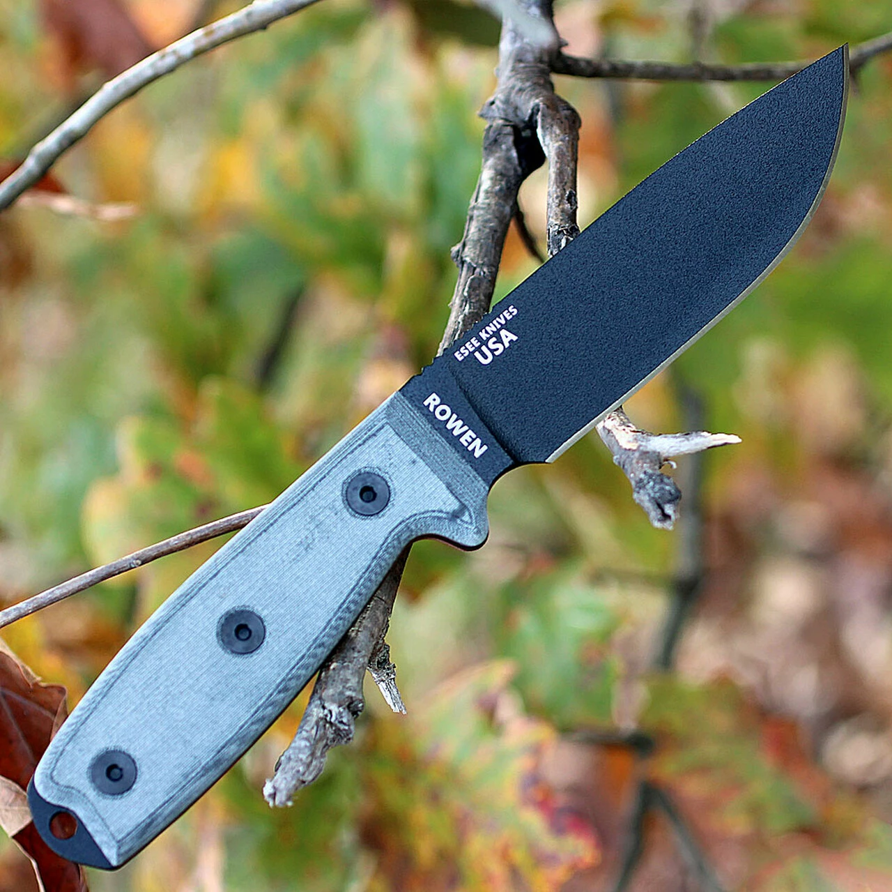 Brand new π ESEE Knives ESEE-4P-SKULL (4.5" Black w/Skull) Coyote Brown π 2 Brand new π ESEE Knives ESEE-4P-SKULL (4.5" Black w/Skull) Coyote Brown π - Image 2