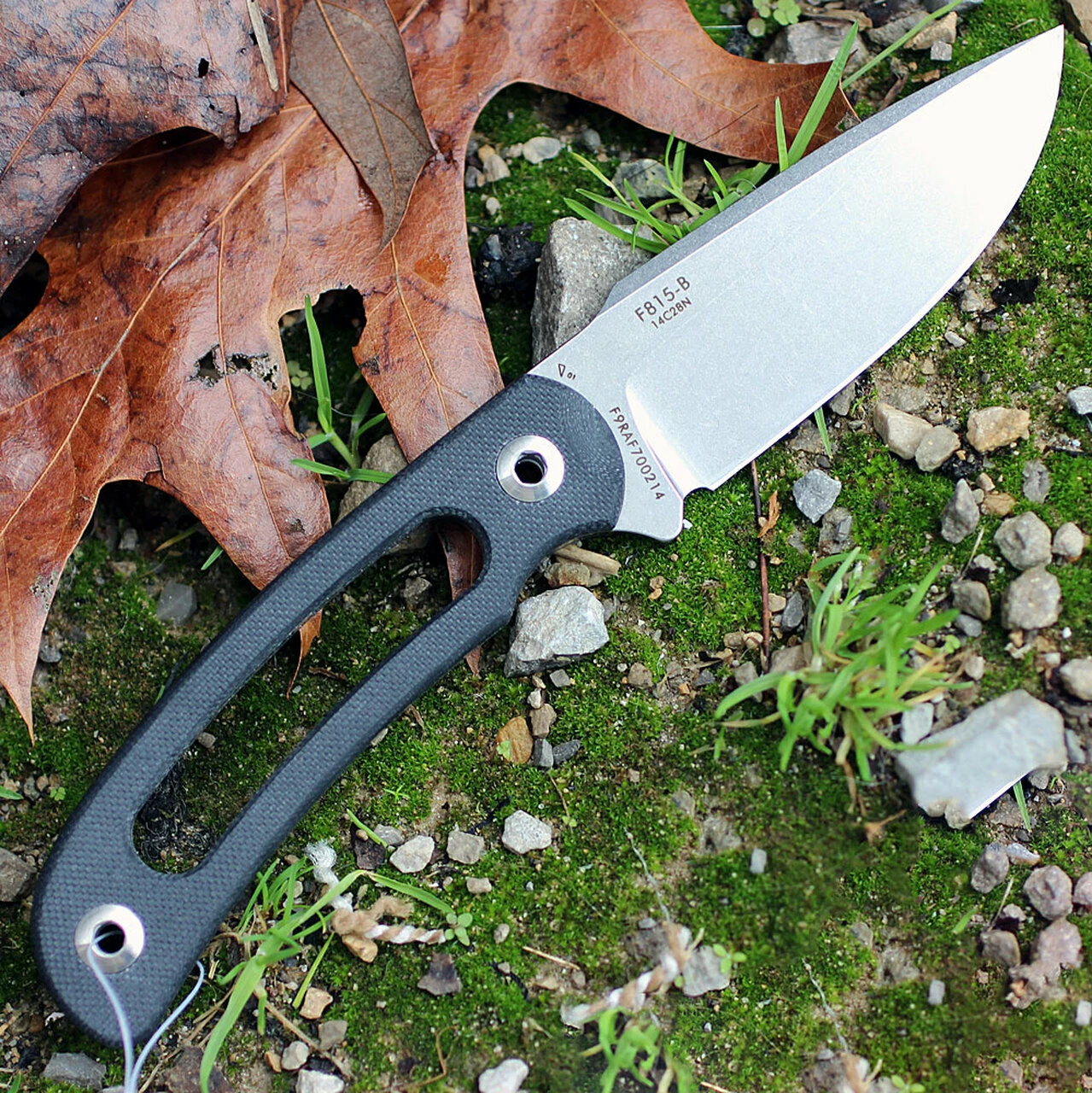 Best reviews of 🛒 Ruike Hornet F815B, 3.35" 14C28N Plain Blade, Hollowed Black G-10 Handle ⌛ 2 Best reviews of 🛒 Ruike Hornet F815B, 3.35" 14C28N Plain Blade, Hollowed Black G-10 Handle ⌛ - Image 2