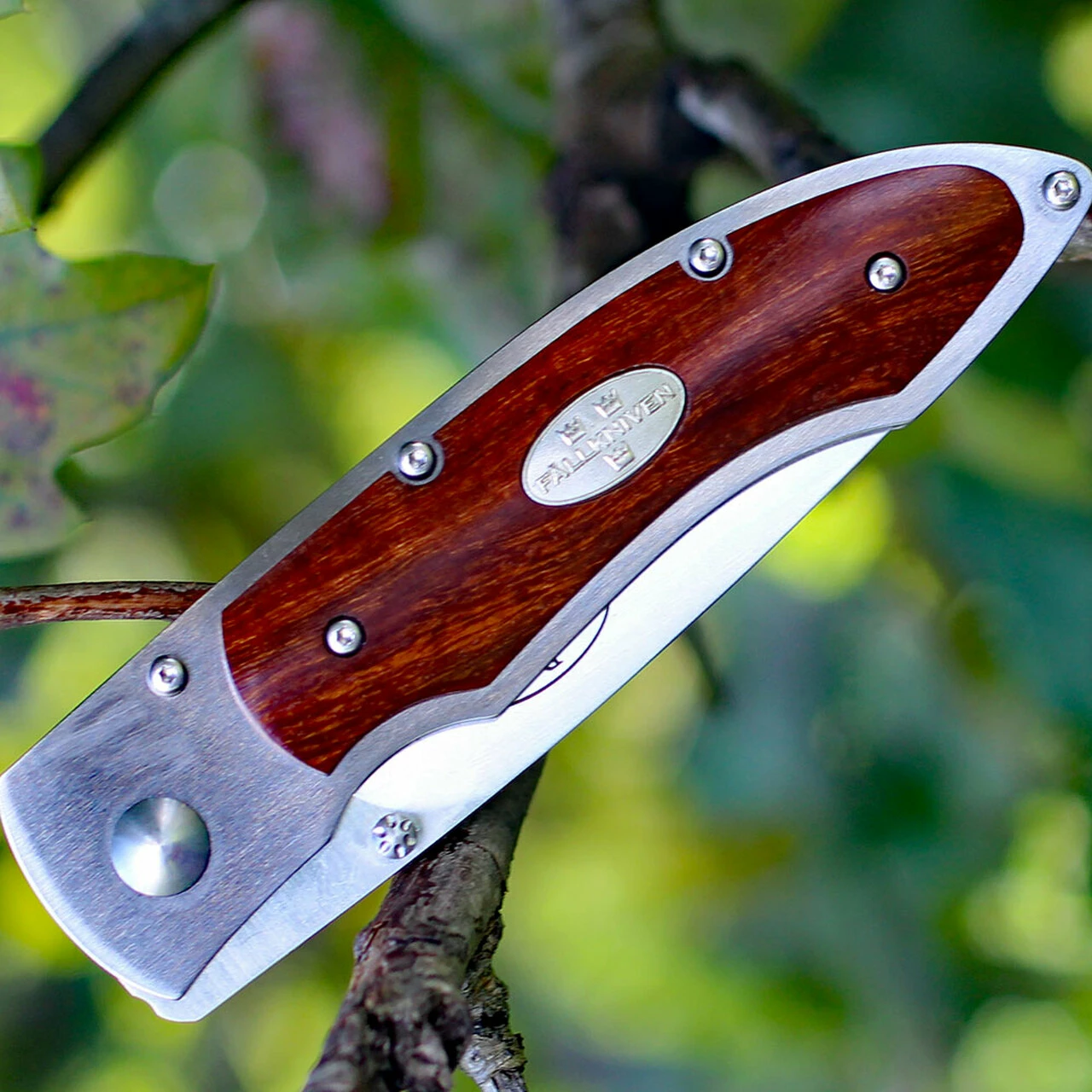 Promo ✨ Fallkniven P Framelock Folding knife, 3" 3G Satin Blade, Desert Wood Ironwood Handle, Nylon Sheath 🔔 3 Promo ✨ Fallkniven P Framelock Folding knife, 3" 3G Satin Blade, Desert Wood Ironwood Handle, Nylon Sheath 🔔 - Image 3