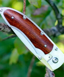 Promo ✨ Fallkniven P Framelock Folding knife, 3" 3G Satin Blade, Desert Wood Ironwood Handle, Nylon Sheath 🔔 8 Promo ✨ Fallkniven P Framelock Folding knife, 3" 3G Satin Blade, Desert Wood Ironwood Handle, Nylon Sheath 🔔 -Automatic Knives shop fnp3gic.3 47233.1627330653