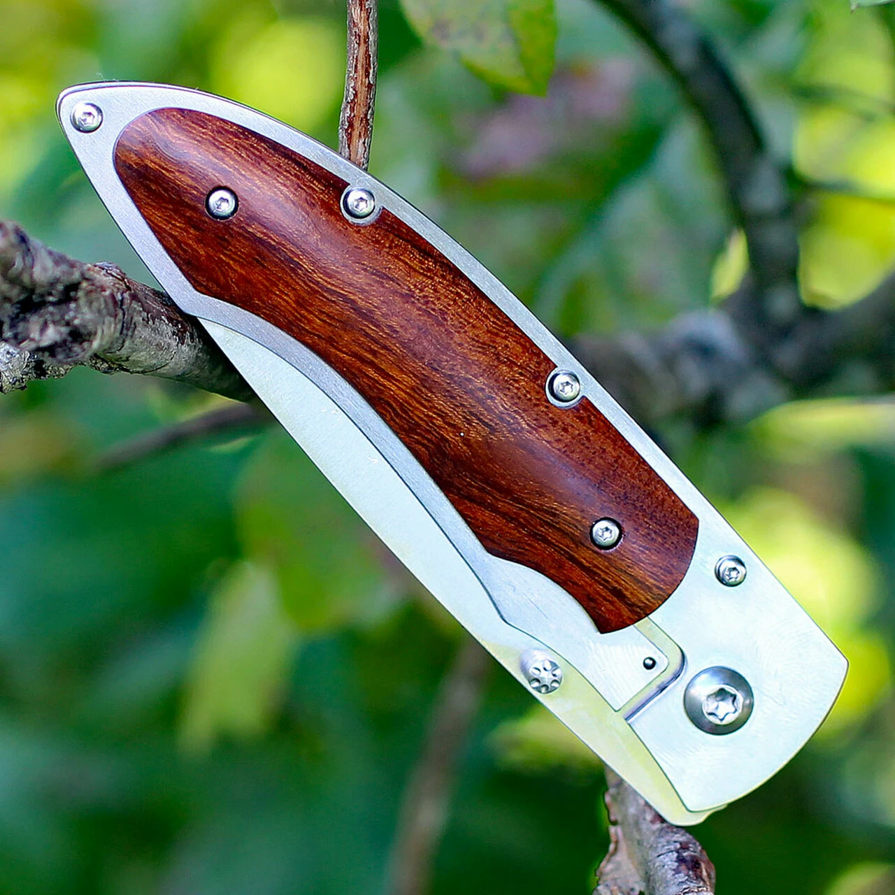 Promo ✨ Fallkniven P Framelock Folding knife, 3" 3G Satin Blade, Desert Wood Ironwood Handle, Nylon Sheath 🔔 4 Promo ✨ Fallkniven P Framelock Folding knife, 3" 3G Satin Blade, Desert Wood Ironwood Handle, Nylon Sheath 🔔 - Image 4