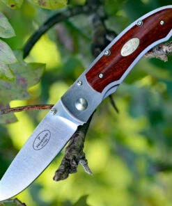 Promo ✨ Fallkniven P Framelock Folding knife, 3" 3G Satin Blade, Desert Wood Ironwood Handle, Nylon Sheath 🔔