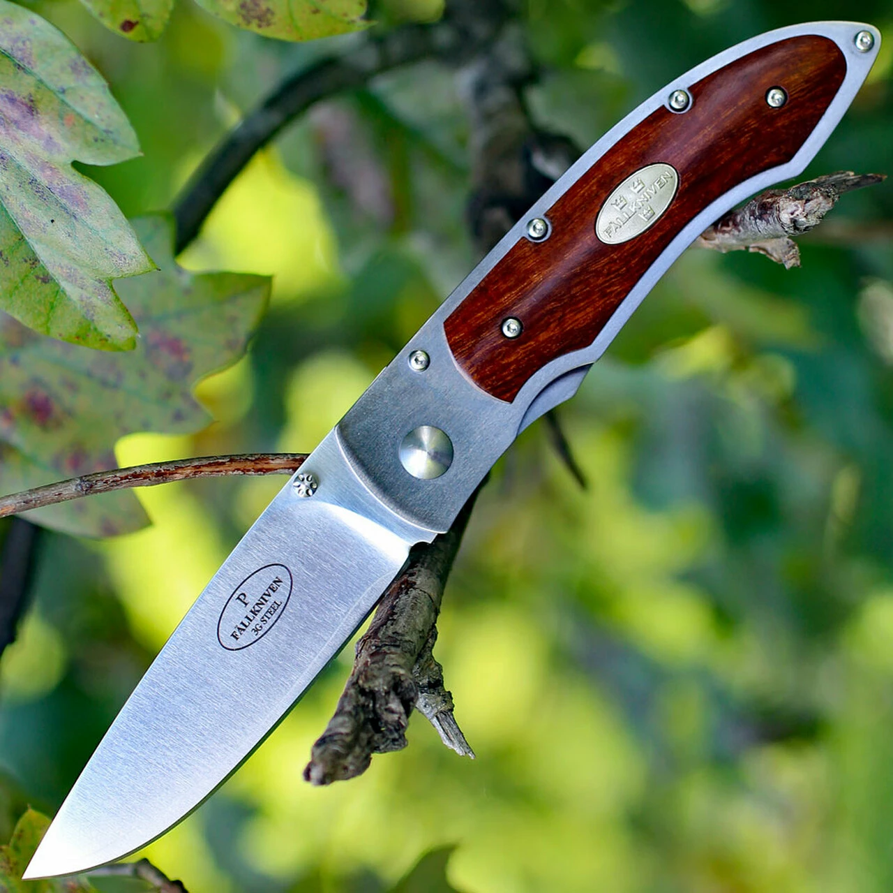 Promo ✨ Fallkniven P Framelock Folding knife, 3" 3G Satin Blade, Desert Wood Ironwood Handle, Nylon Sheath 🔔 1 Promo ✨ Fallkniven P Framelock Folding knife, 3" 3G Satin Blade, Desert Wood Ironwood Handle, Nylon Sheath 🔔