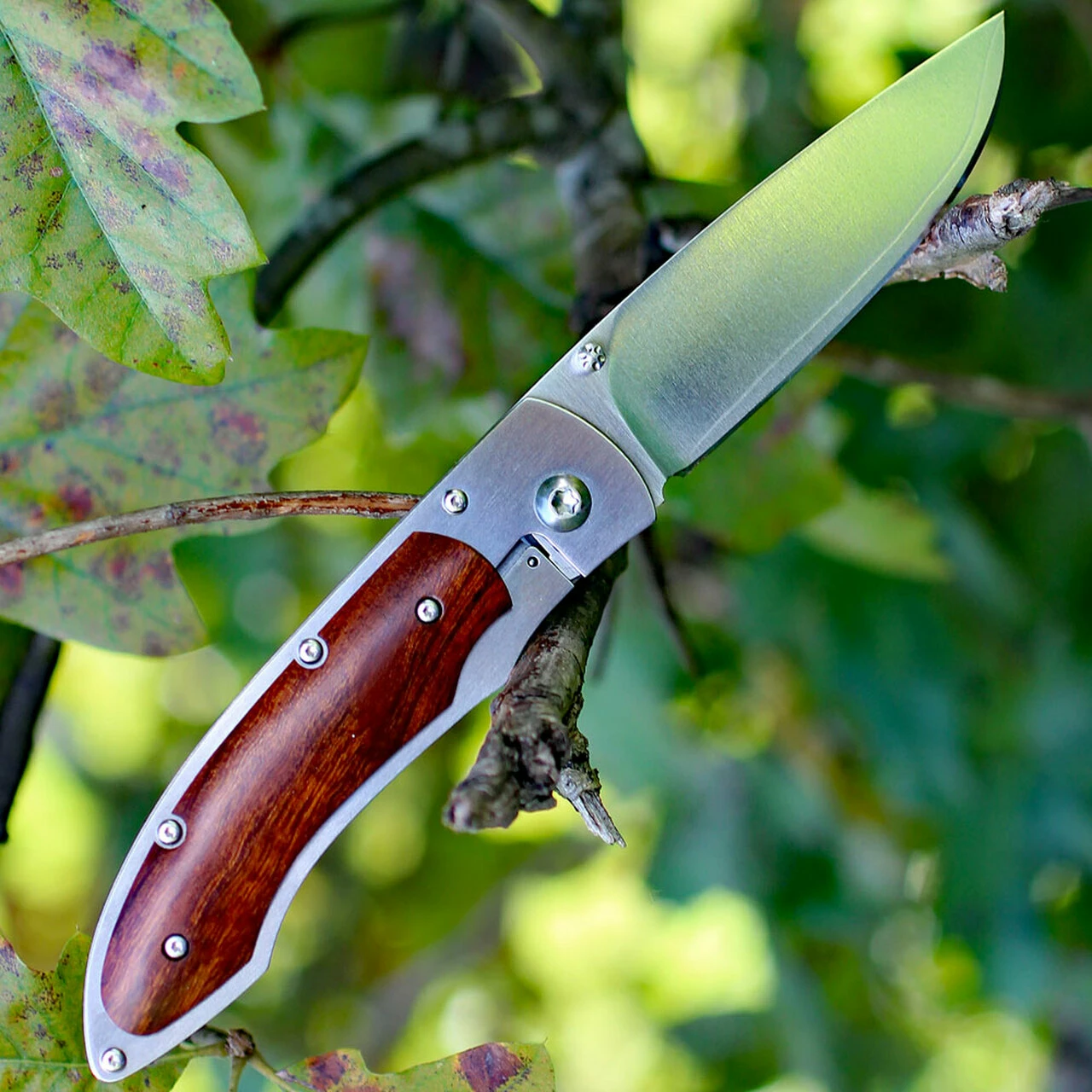 Promo ✨ Fallkniven P Framelock Folding knife, 3" 3G Satin Blade, Desert Wood Ironwood Handle, Nylon Sheath 🔔 2 Promo ✨ Fallkniven P Framelock Folding knife, 3" 3G Satin Blade, Desert Wood Ironwood Handle, Nylon Sheath 🔔 - Image 2
