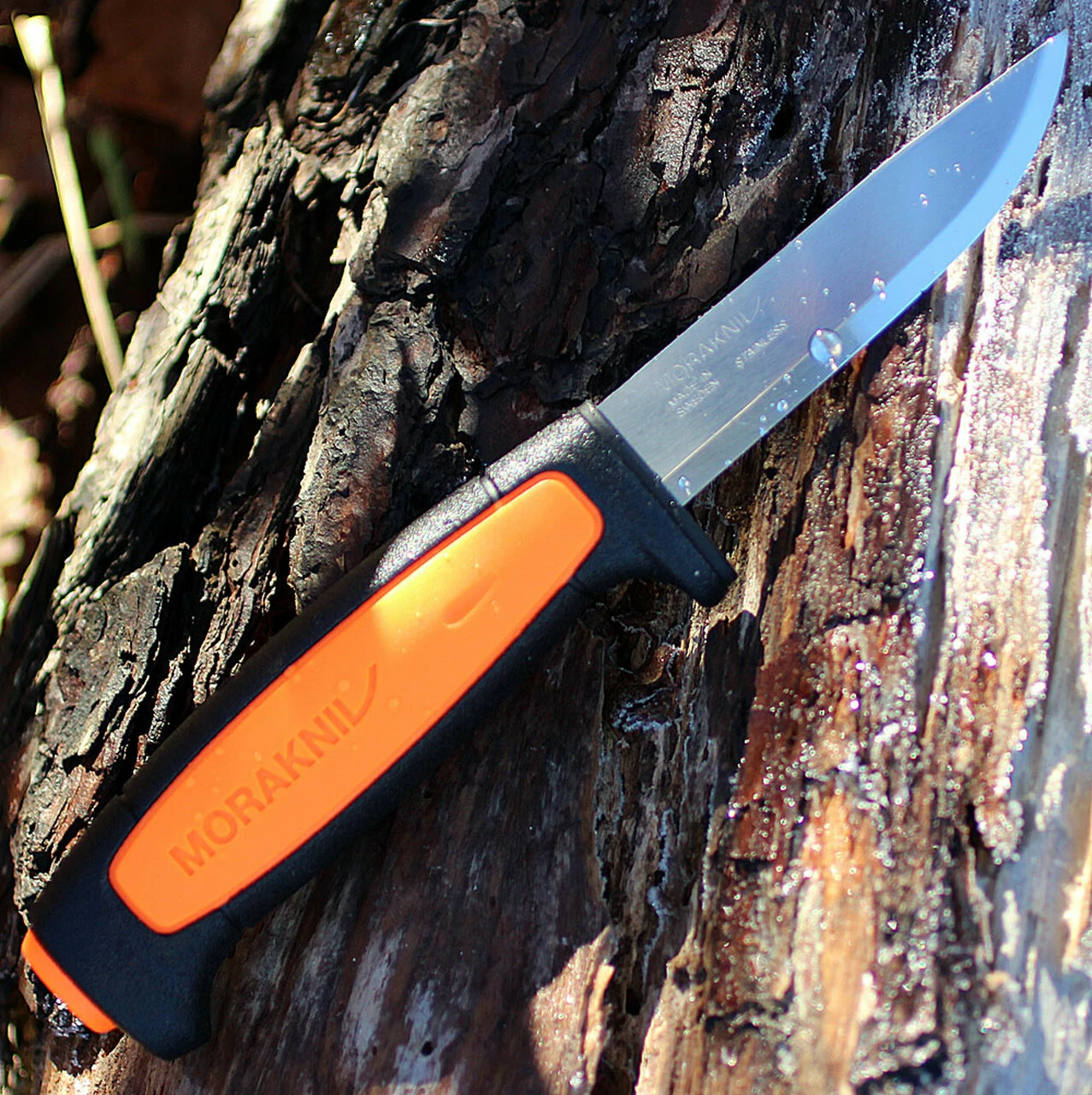 Best deal 🎁 Morakniv 02206 Basic 546, 3.6" Stainless Plain Blade, Black/Orange Polymer Handle 🤩 1 Best deal 🎁 Morakniv 02206 Basic 546, 3.6" Stainless Plain Blade, Black/Orange Polymer Handle 🤩