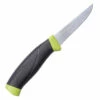 Buy 🤩 MoraKniv Fishing Fillet Knife - Black w/Lime Green (3.5" Stainless) 090 (S) ⌛