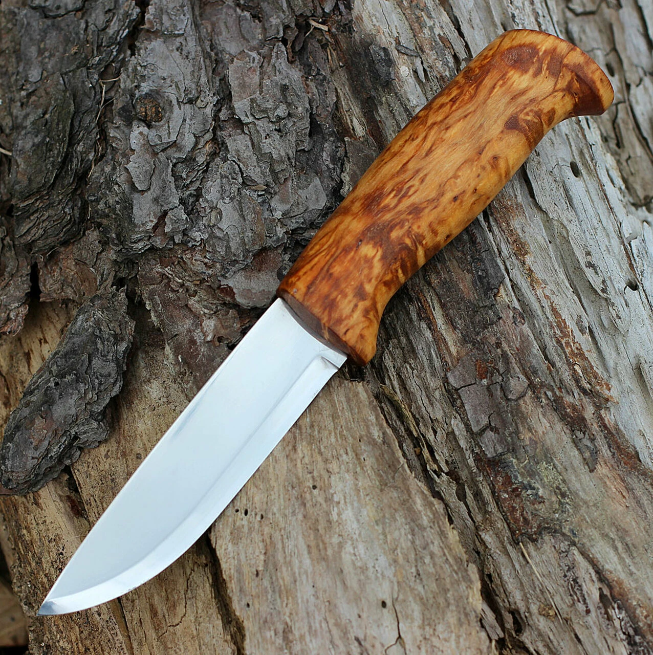 Best Pirce 🛒 Helle Gaupe, Triple Laminated Stainless Steel, Curly Birch Handle ❤️ 2 Best Pirce 🛒 Helle Gaupe, Triple Laminated Stainless Steel, Curly Birch Handle ❤️ - Image 2