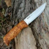 Best Pirce 🛒 Helle Gaupe, Triple Laminated Stainless Steel, Curly Birch Handle ❤️