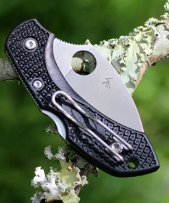 Brand new ✨ Spyderco Knives Spyderco Dragonfly 2 Wharncilffe C28FPWCBK2, 2.28" VG-10 Blade, Black FRN Handle 👍 -Automatic Knives shop image 00337.1572890169