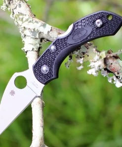 Brand new ✨ Spyderco Knives Spyderco Dragonfly 2 Wharncilffe C28FPWCBK2, 2.28" VG-10 Blade, Black FRN Handle 👍