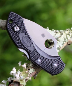 Brand new ✨ Spyderco Knives Spyderco Dragonfly 2 Wharncilffe C28FPWCBK2, 2.28" VG-10 Blade, Black FRN Handle 👍 -Automatic Knives shop image 53690.1572890169