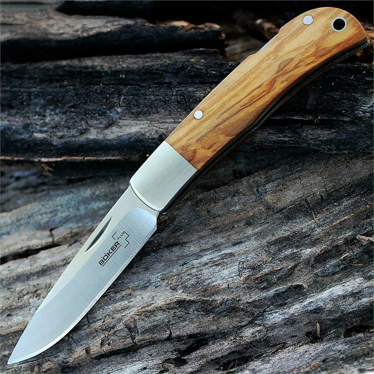 Brand new 😀 Boker Plus Lockback, 2 7/8 in. 440-C Blade, Olive Wood handle 🤩 1 Brand new 😀 Boker Plus Lockback, 2 7/8 in. 440-C Blade, Olive Wood handle 🤩