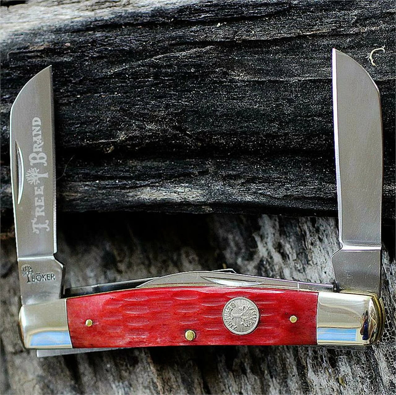 Promo ๐งจ Boker 110745 Traditional Series Congress, Red Jigged Bone Handle ๐ 1 Promo ๐งจ Boker 110745 Traditional Series Congress, Red Jigged Bone Handle ๐
