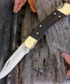 Top 10 🔥 Buck Knives Buck 110BRSCB Folding Hunter, 3.75" 420HC Plain Blade, Woodgrain Handle 🤩