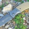 Best reviews of 🌟 Browning Knives Browning Black Label Folder, 8Cr13mov, Tan G-10 Scales ✔️