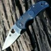 Best reviews of ❤️ Spyderco Knives Spyderco C41PDBL5 Native 5, 3" CPM S110V, Dark Blue FRN Handle 😀