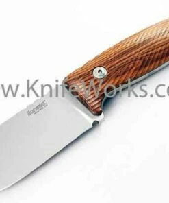 Coupon 🎉 LionSteel Lion Steel M3 Fixed Blade, Niolox Steel, Santos Wood Handle 😍