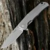 Best reviews of 🧨 LionSteel Lion Steel T.R.E. Three Rapid Exchange Folder, 2.91 in. M390 Blade, Matte Titanium Handles, Gray Accents ⌛