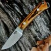Promo ⭐ Bark River Knives Bark River 030WB Mini-Fox River, 2.9" A-2 Plain Blade, Bocote Wood Handle 👏