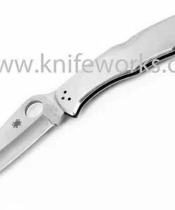 Budget ❤️ Spyderco Knives Spyderco C10P Endura 4, 3.85" VG-10 Plain Blade, Stainless Steel Handle 🤩