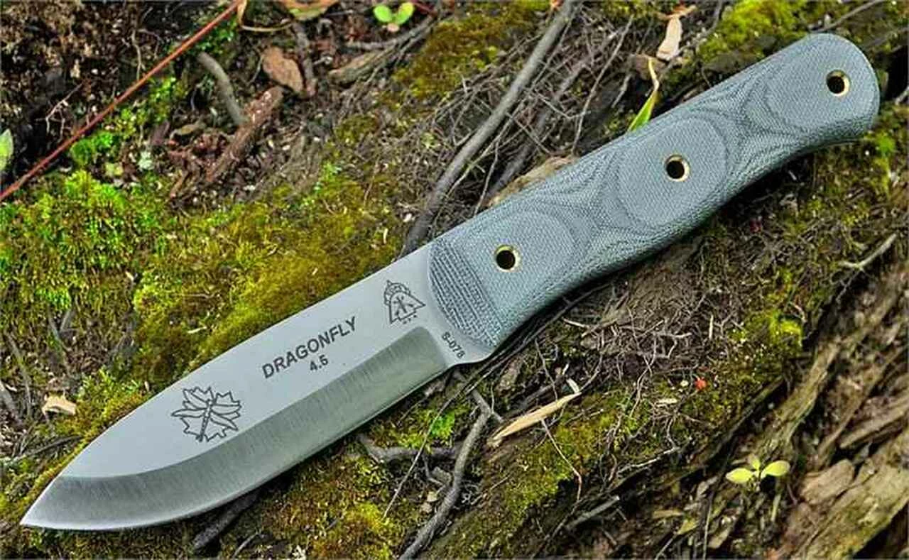 New ๐ TOPS Dragonfly, 1095 High Carbon Steel, Canvas Micarta Handle ๐งจ 1 New ๐ TOPS Dragonfly, 1095 High Carbon Steel, Canvas Micarta Handle ๐งจ