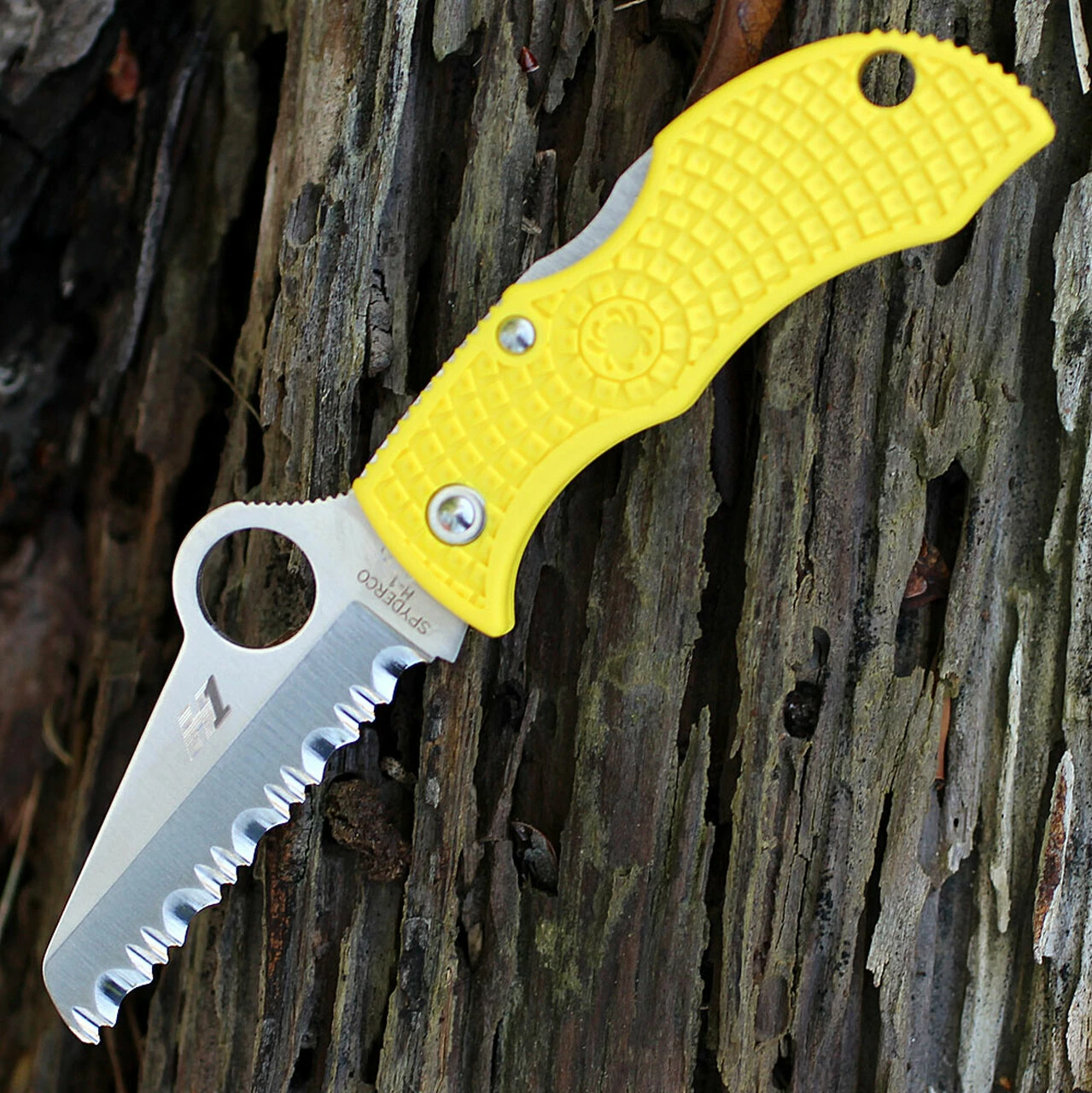Buy 💯 Spyderco Knives Spyderco MYLS Manbug Salt, 1.9" H1 Serrated Blade, Yellow FRN Handle ⭐ 1 Buy 💯 Spyderco Knives Spyderco MYLS Manbug Salt, 1.9" H1 Serrated Blade, Yellow FRN Handle ⭐