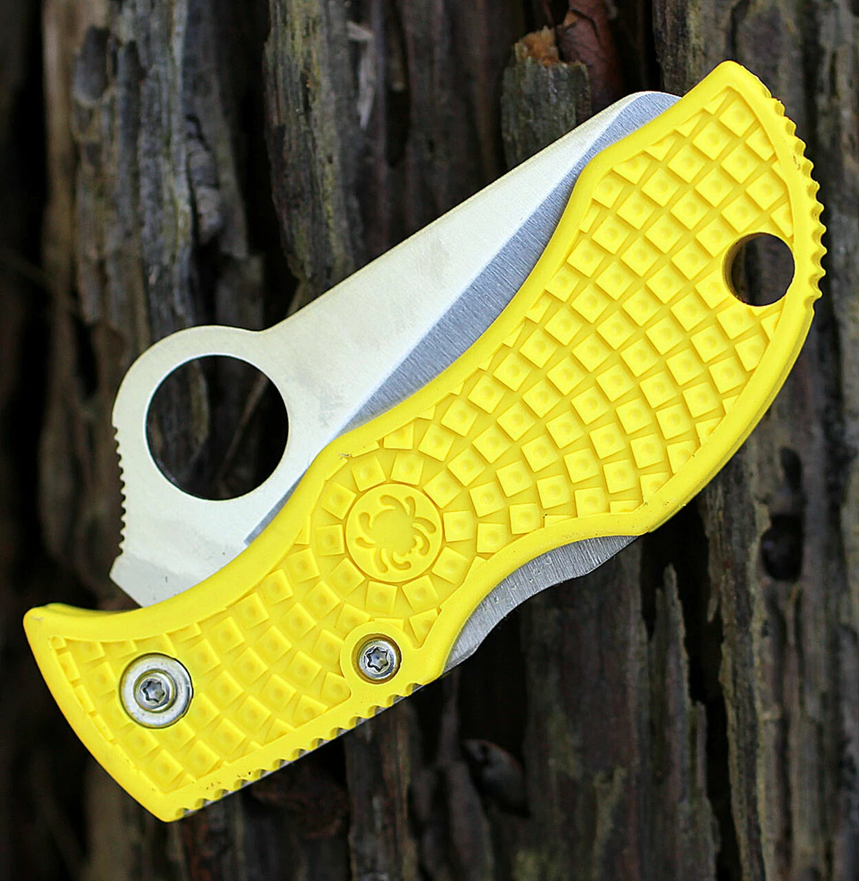 Buy 💯 Spyderco Knives Spyderco MYLS Manbug Salt, 1.9" H1 Serrated Blade, Yellow FRN Handle ⭐ 4 Buy 💯 Spyderco Knives Spyderco MYLS Manbug Salt, 1.9" H1 Serrated Blade, Yellow FRN Handle ⭐ - Image 4