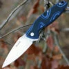 Best Sale 🛒 Ruike Fang P105Q, 3.6" 14C28N Plain Blade, Black/Blue G-10 Handle ❤️