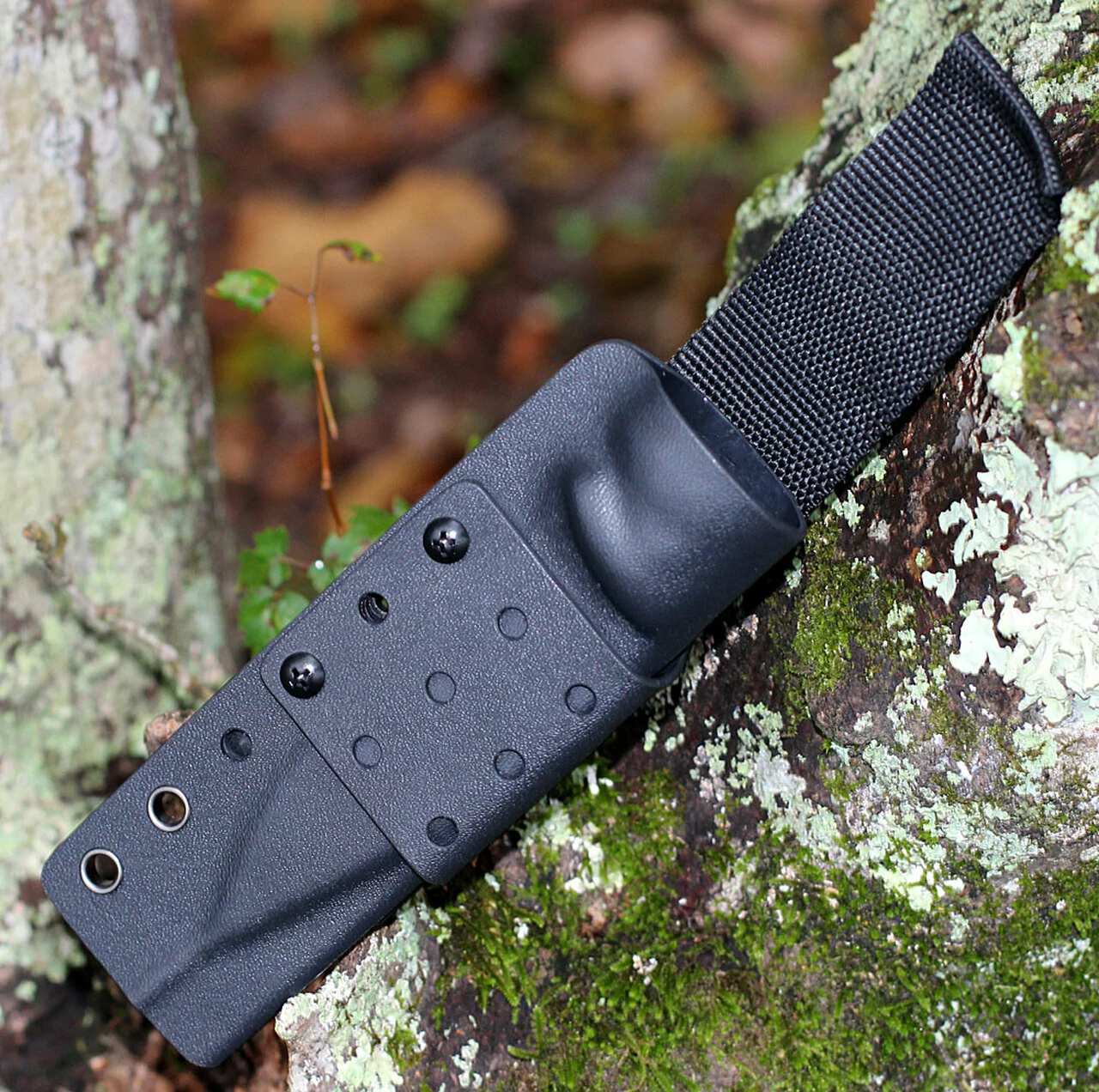 Budget ✔️ QSP Knife Bison Fixed Blade QS134-B, 4.5" D2 Satin Plain Blade, Denim Jean Linen Miarta Handle 🎉 4 Budget ✔️ QSP Knife Bison Fixed Blade QS134-B, 4.5" D2 Satin Plain Blade, Denim Jean Linen Miarta Handle 🎉 - Image 4