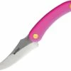 Best reviews of 🎁 Svord Knives Svord Amerikiwi Skinner - Pink (3.5" 15N20 Satin) AMKIP 😀