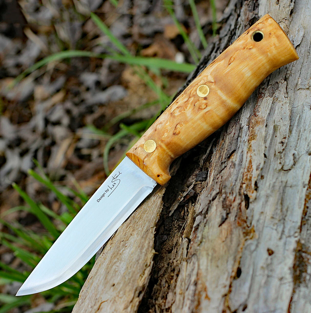 Promo ⭐ Helle Temagami, 4.33 in. Triple Laminated Stainless Steel Blade, Curly Birch Handle 👍 2 Promo ⭐ Helle Temagami, 4.33 in. Triple Laminated Stainless Steel Blade, Curly Birch Handle 👍 - Image 2