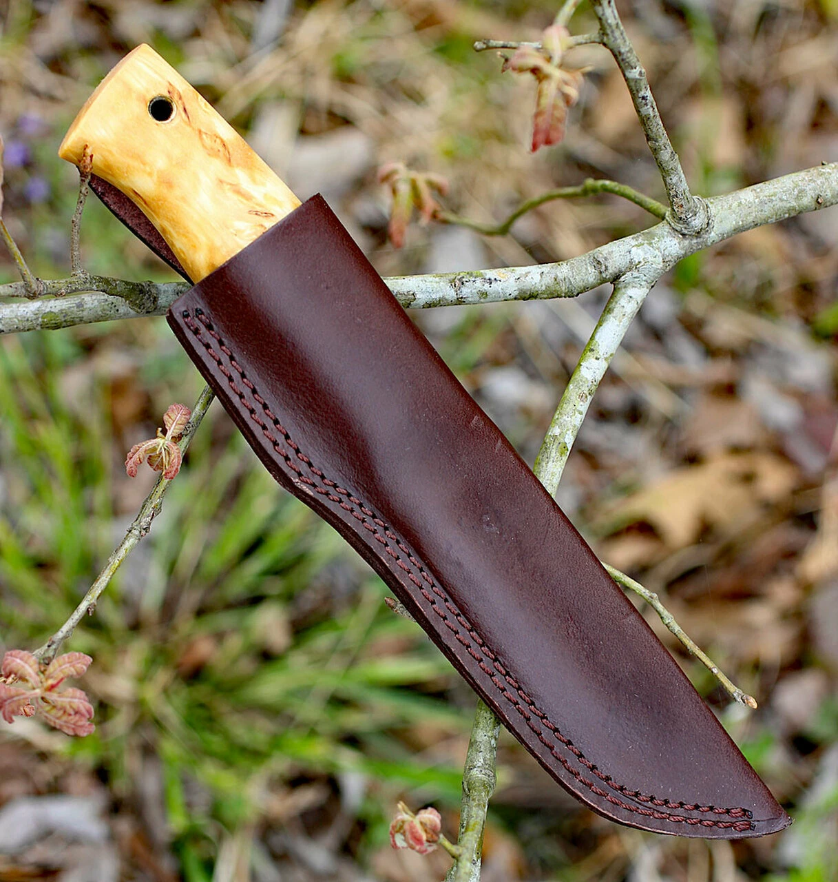 Promo ⭐ Helle Temagami, 4.33 in. Triple Laminated Stainless Steel Blade, Curly Birch Handle 👍 3 Promo ⭐ Helle Temagami, 4.33 in. Triple Laminated Stainless Steel Blade, Curly Birch Handle 👍 - Image 3