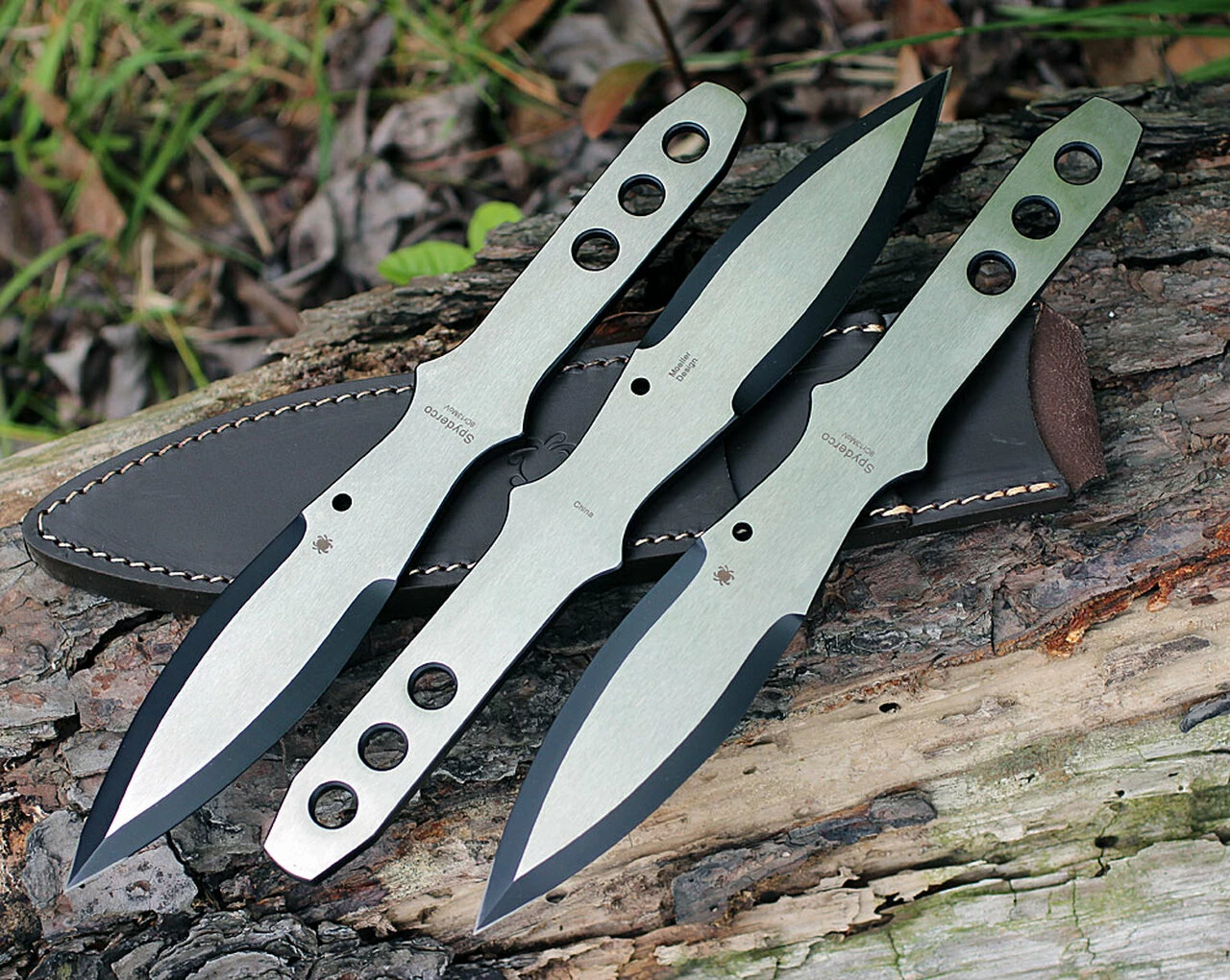 Best reviews of ⭐ Spyderco Knives Spyderco TK01LG Large SpyderThrowers, 11.07 in., Set of 3 ✨ 3 Best reviews of ⭐ Spyderco Knives Spyderco TK01LG Large SpyderThrowers, 11.07 in., Set of 3 ✨ - Image 3